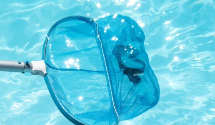 Pool Cleaning & Maintenance